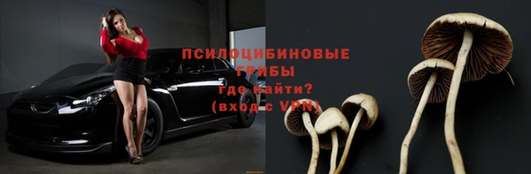 гашик Алзамай