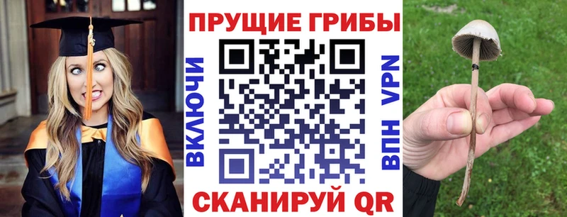 Псилоцибиновые грибы Magic Shrooms Западная Двина