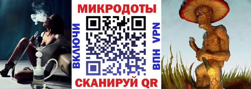 Галлюциногенные грибы Cubensis  Западная Двина 